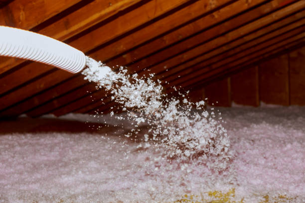 Best DIY Insulation Kits and Guidance in Holland, TX
