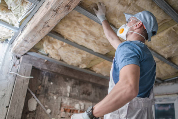 Professional Insulation Contractor in Holland, TX