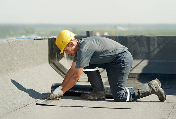 Best Specialized Insulation Services in Holland, TX