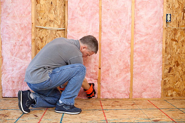 Types of Insulation We Offer in Holland, TX