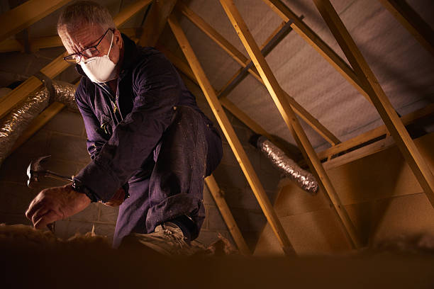 Best Eco-Friendly Insulation in Holland, TX